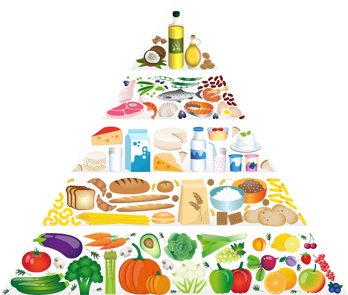L'équilibre alimentaire, Nutrition & santé